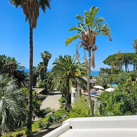 Aparthotel Paco Benessere & Relax Forio (Isola d'Ischia)