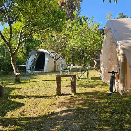 Aparthotel Paco Benessere & Relax Forio (Isola d'Ischia)