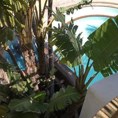 Aparthotel Paco Benessere & Relax Forio (Isola d'Ischia)