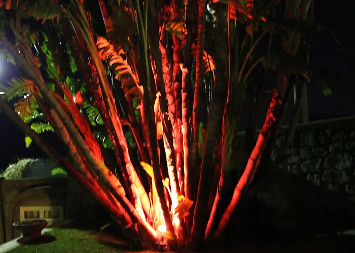 Paco Benessere & Relax アパートホテル Forio di Ischia