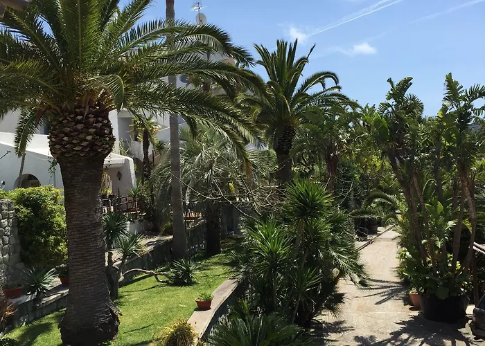 Paco Benessere & Relax 4*